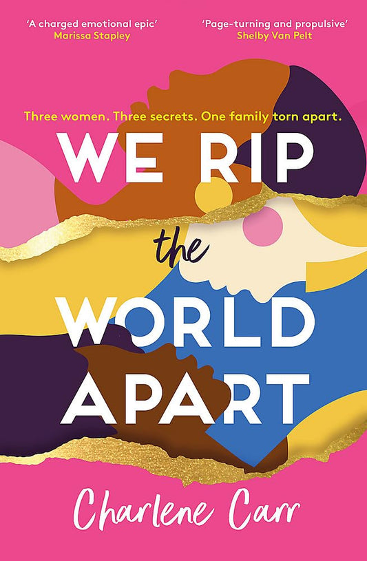 We Rip the World Apart: A sweeping story about motherhood, race and secrets cover image